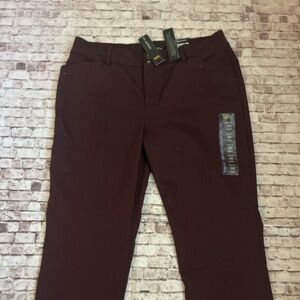 Women’s Brown Regular Fit  Mid Rise Pant